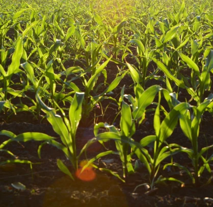 riego-slide-agricultura-sostenible